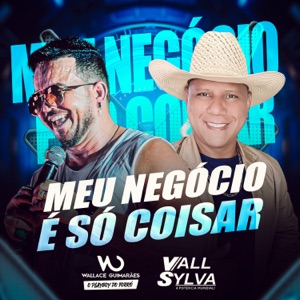 Meu Negócio É Coisar