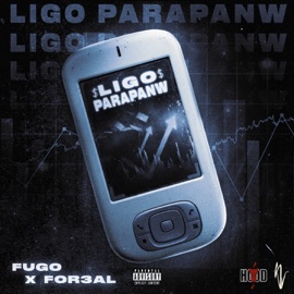 LIGO PARAPANW Fugo & For3al