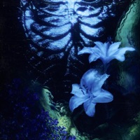 wiederfinden - Single - El Rafo