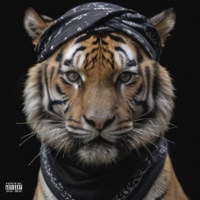 Just Another N***a (2010) - Single - The Tiger Rab