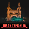 Shabana Noshi - Dilan Teer Bija artwork