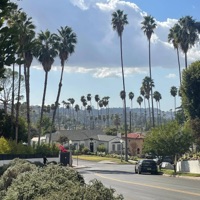 stroll on hill drive - Single - Lomme