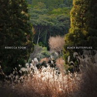 Her Eyes Were Telling Me - Single - Rebecca Foon