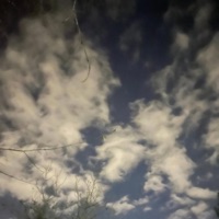 AP (Transformation) - Single - AP & N