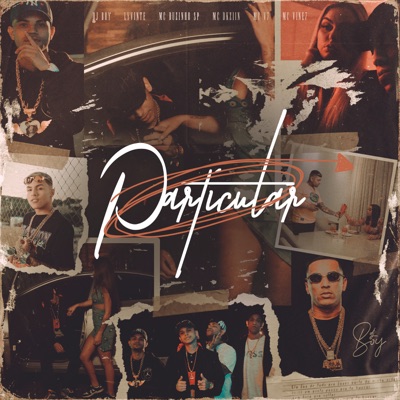Particular (feat. Mc Dkziin, MC Duzinho SP & Lyvinte) - Single