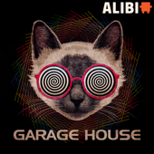 Garage House