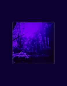 kehaを聴いたり、ミュージックビデオを鑑賞したり、経歴やツアー日程などを確認したりしましょう！