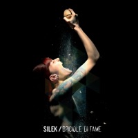 BRICIOLE DI FAME - Silek