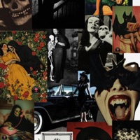 Lemme See (feat. AMR) - Single - Xoo