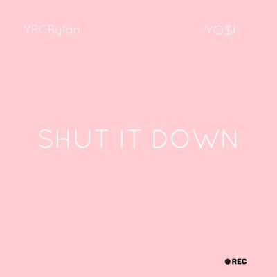 Shut It Down - Single