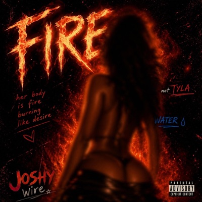 FIRE (feat. GOD1ST) - Single