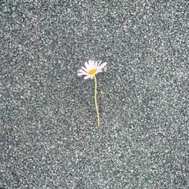 Беги (Remix) netvoa