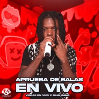 Aprueba de Balas (En Vivo) - Single - Vibras En Vivo & Bilin Gang