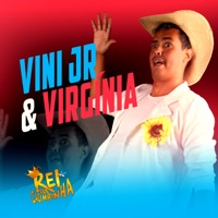 Vini Jr & Virgínia - Single - Rei da Cacimbinha