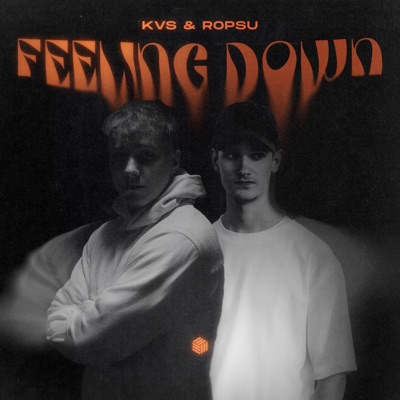 Feeling Down (Extended Mix) - Single