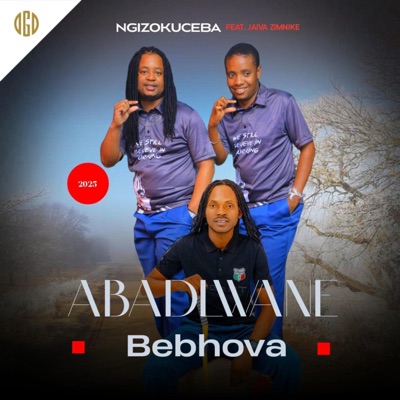 Ngizokuceba (feat. Jaiva Zimnike) - Single