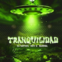 Tranquilidad - Single - Dj Materia Gris & Barboza