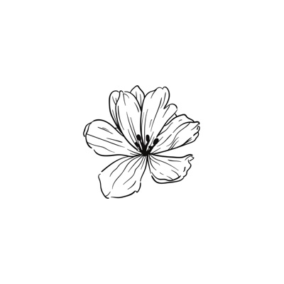 kokoronashi but make it lofi (tribute to sayuri) - Single