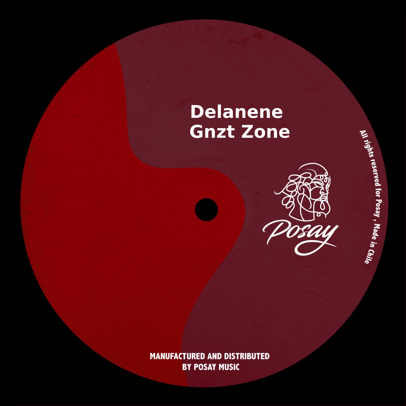 Gnzt Zone - Single