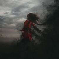 Not My Bihh - Single (feat. Your Stepdad) - Single - Anweezy