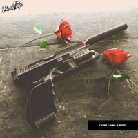 Album cover for Guns N' Roses by Casike