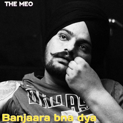 THE MEO - Banjaara bna dya