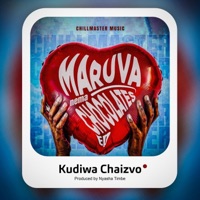 Kudiwa Chaizvo - Single - Chillmaster Music