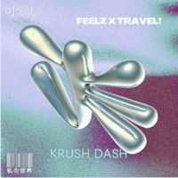 FEELZ X TRAVEL! (KRUSH DASH) (feat. TRAVEL!) - Single - FEELZOFICIAL 12