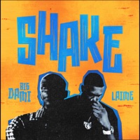 Shake (feat. Laime) - Single - Big Dami