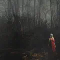 No Arms