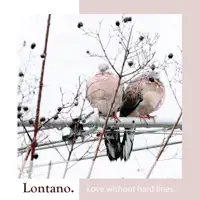 Love without hard lines