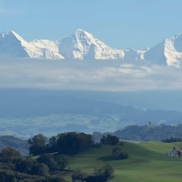 No Borders - Single - Bomshi & Notation