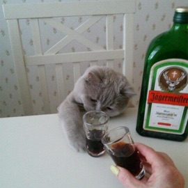 LOVE ME NOW (feat. wasty) kalia!