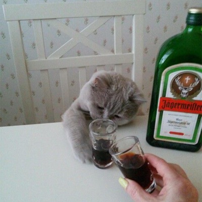 LOVE ME NOW (feat. wasty) - Single