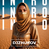 INTRO - Single - DJZHUKOV