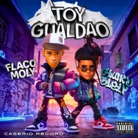 GUALDAO (feat. Chuky Bley & Flaco Moly) - Single - Caserio Record