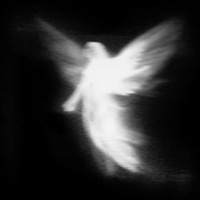 StuckInPlace - Single - V O i D