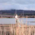 Rangirua