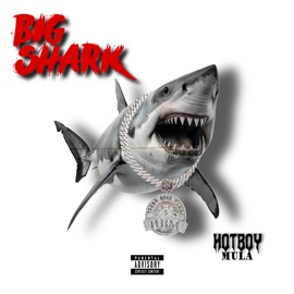 Big Shark Hotboy Mula