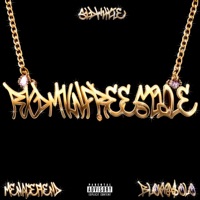 RXDMVN FREESTYLE - Single - Sid White