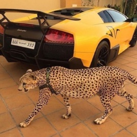 Running (feat. Isojune) downsouth.