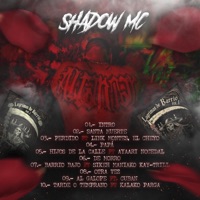 Lágrimas de Barrio, Pt. 2 - EP - ShadowMc