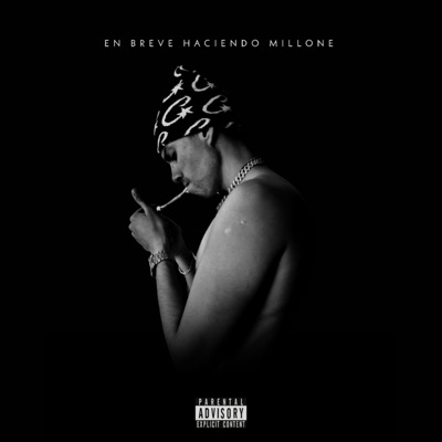 EN BREVE HACIENDO MILLONE