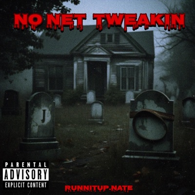 No Net Tweakin - Single