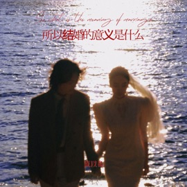 所以结婚的意义是什么 夏以岛