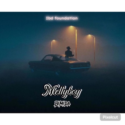 Bimida (feat. Lil frosh) - Single