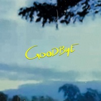 Goodbye - Single - Civin