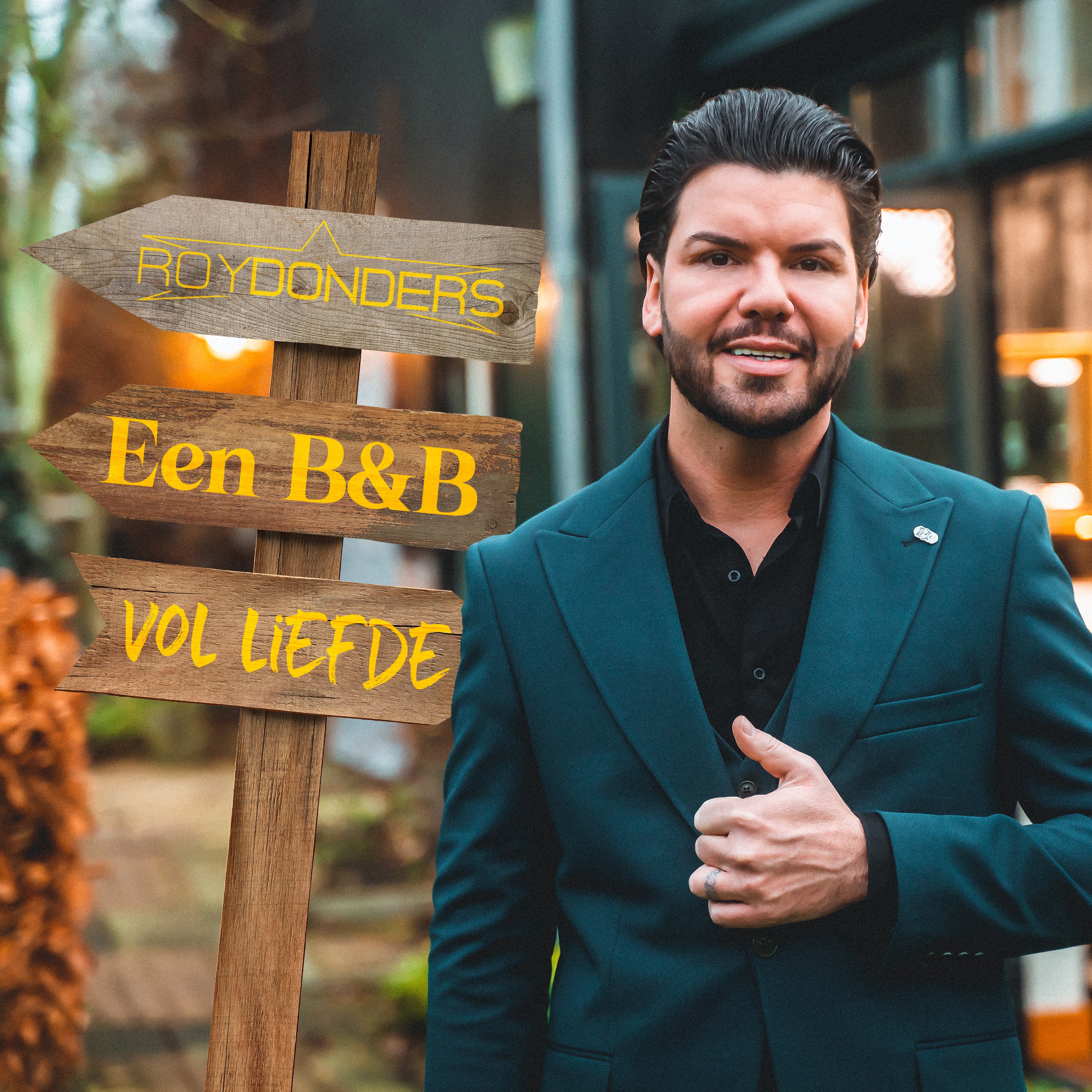 Een B&B Vol Liefde - Single