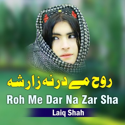 Laiq Shah - Cha Da Storo Lar Sarala