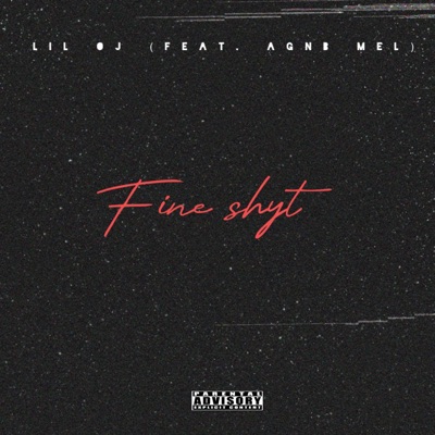 Fine shyt (feat. AGNB Mel) - Single